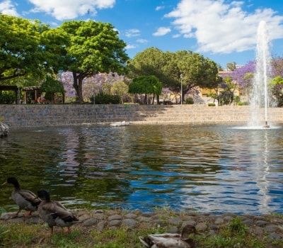 Arroyo de la Represa