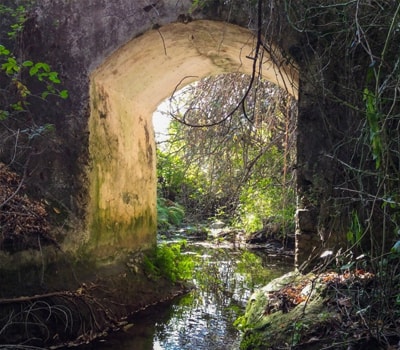 Arroyo Guadalpin