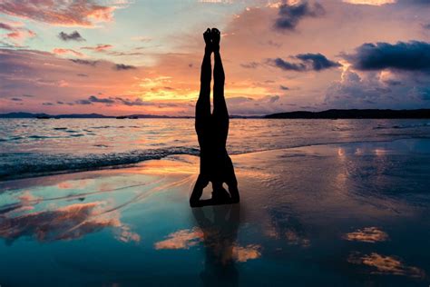 status_homes_yoga_list_instructors.jpeg (25 KB)