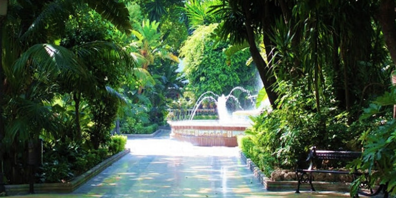 Invitation to urban walkways of biodiversity in Marbella