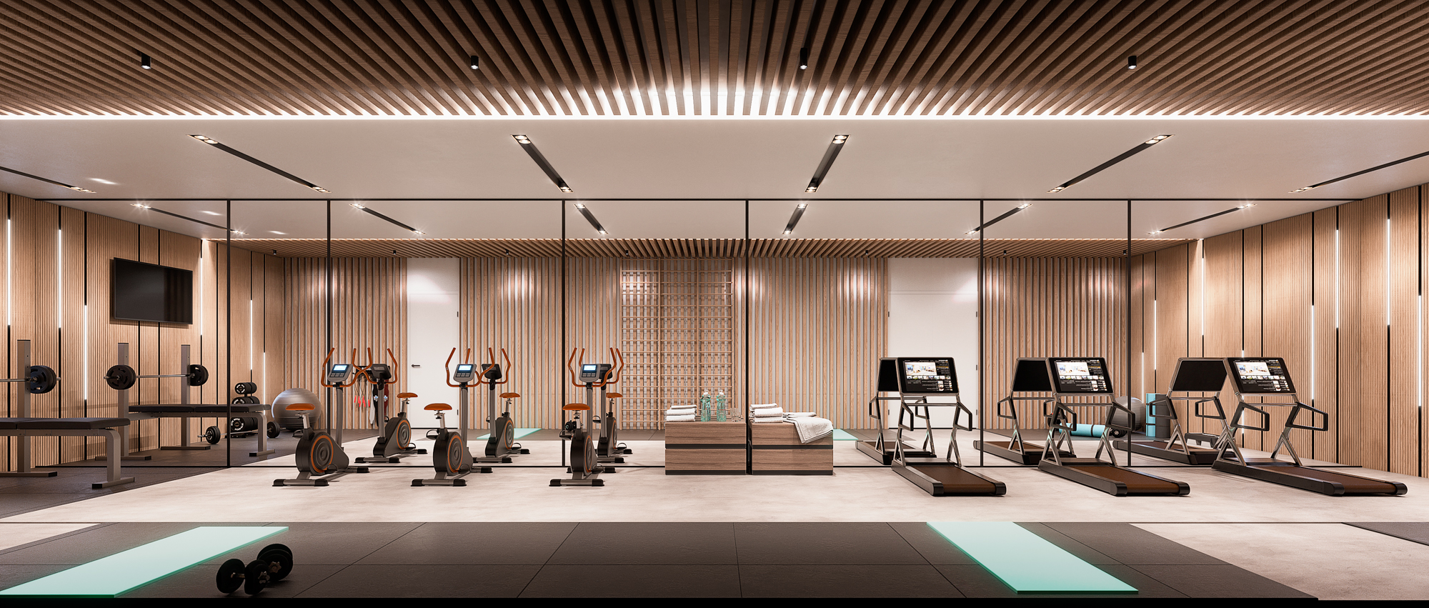 Nikki Living_Flex Living_ GYM B.jpg (1.46 MB)